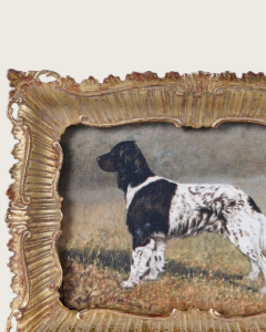 The Country Companion small framed spaniel print featuring a black and white dog in an ornate antique gold-effect decorative frame