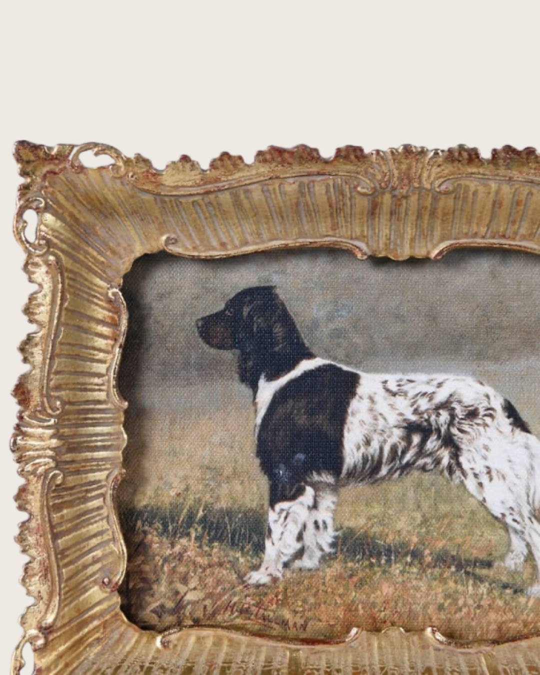 The Country Companion small framed spaniel print featuring a black and white dog in an ornate antique gold-effect decorative frame