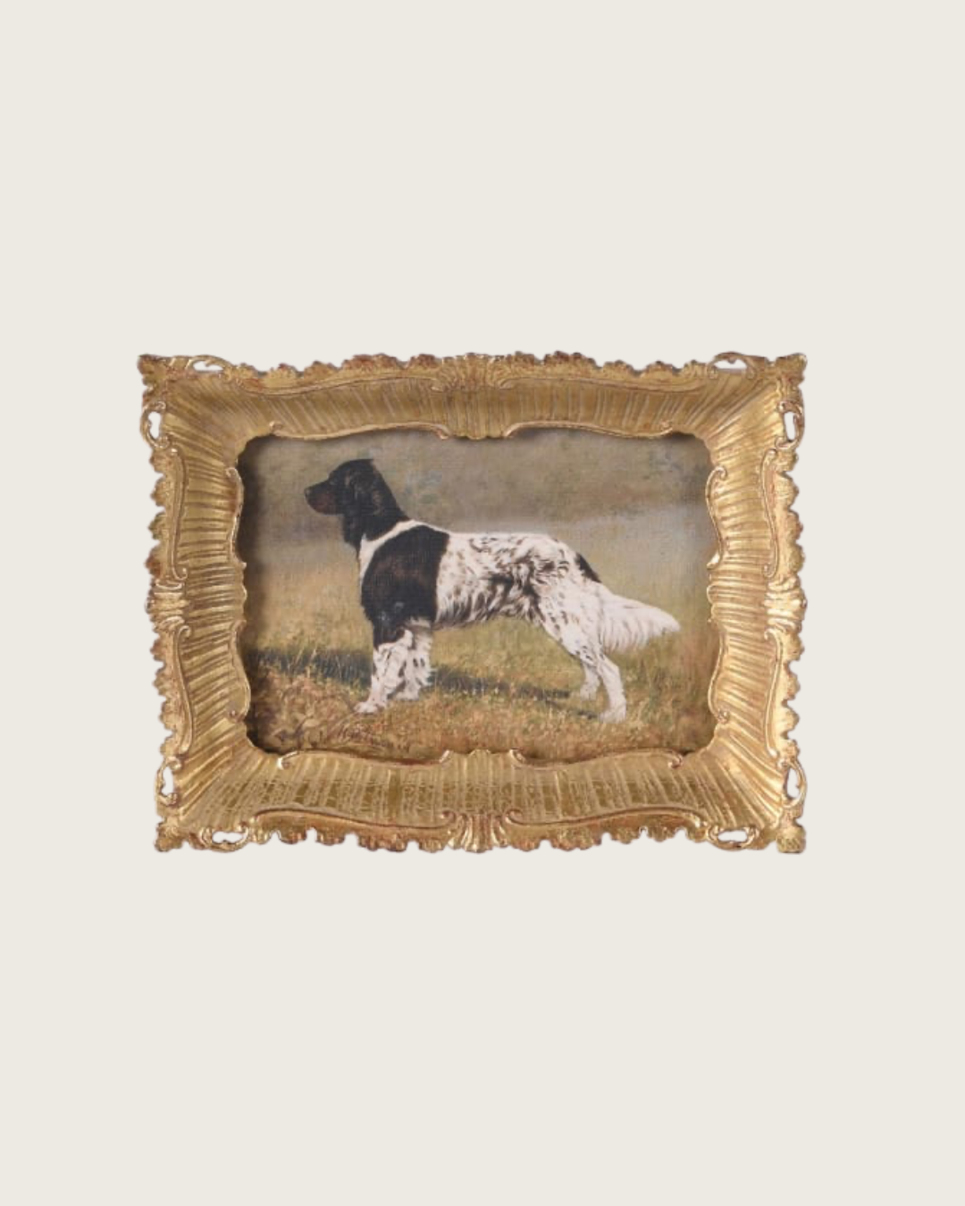 The Country Companion small framed spaniel print featuring a black and white dog in an ornate antique gold-effect decorative frame
